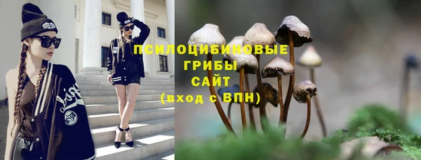 стаф Белокуриха