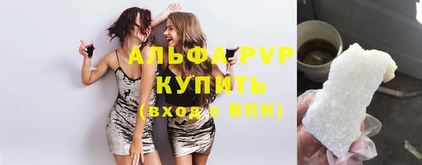 стаф Белокуриха