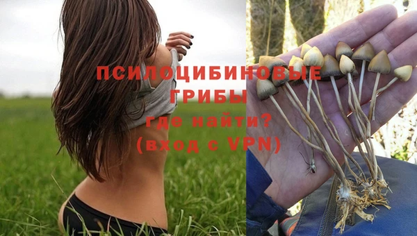 стаф Белокуриха