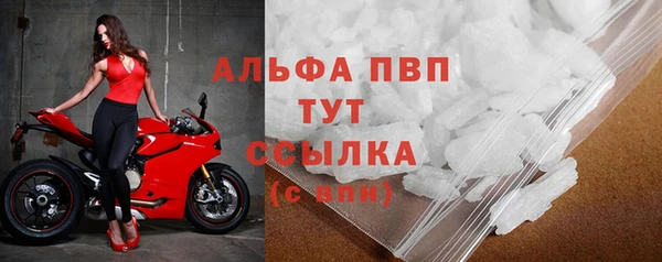 стаф Белокуриха