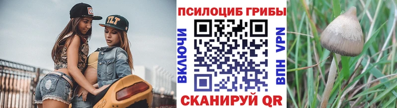 Купить где  Гулькевичи  Галлюциногенные грибы MAGIC MUSHROOMS 
